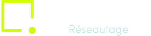 Networking_Logo_Fr