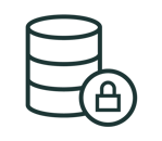Data security icon